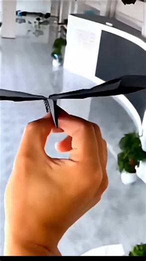 made a bat plane to use of paper 6.12.25