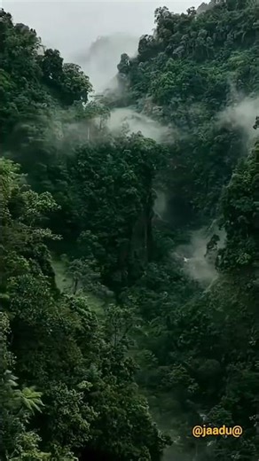 Amazon Geoglyphs😨#shorts