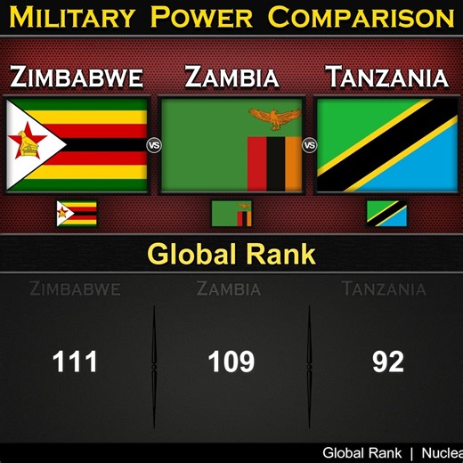 Zimbabwe vs Zambia vs Tanzania | Land Power Comparison 2025 (Part-2) | Global Power