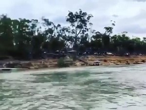 179K views · 1.2K reactions | AMG Marine on Reels | Facebook