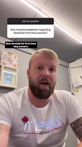 95K views · 590 reactions | Best Breeds For First Time Dog Owners…....
