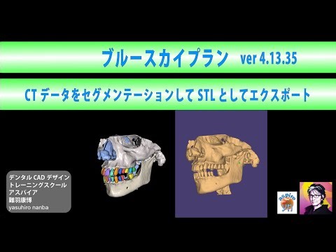 【ブルースカイプラン】自動 セグメンテーション Ver. 4.13.35