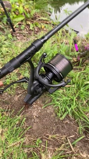 CARP FISHING IN SNAGS!!!🎣🎣🎣 #fishing #bigcarp #carp #fish #bigfish #carpfishing #freshwaterfish