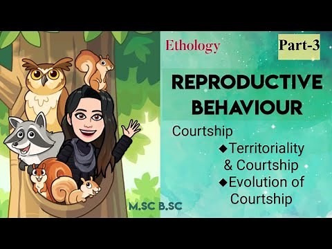 3) Reproductive Behaviour | Courtship behavior : Territoriality and Courtship|Evolution of Courtship