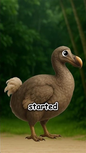 How Dodos Lost Their Survival Instincts