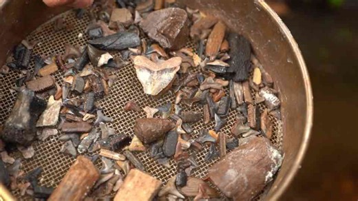 This spot was packed with shark teeth