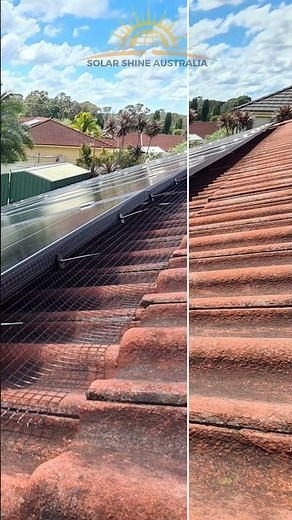 Solar Bird Proofing Before & After