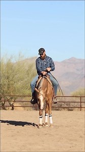 Don’t ask for too much from your horse in the maneuver you want them comfortable and confident in. Watch the full length training video in the Reining Fundamentals series with Jim Greendyk Performance Horses on www.horsepro.tv. #horsetraining #horseriding #horsetrainingtips #horselife #horsetrainer #horsetrainingvideos #coltstarting #reining #reininghorse | HORSEpro.tv
