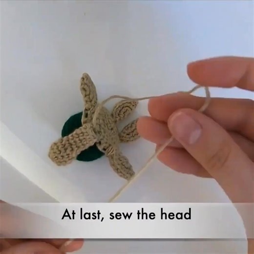 8.1K views · 49 reactions | Adorable Crochet Baby Turtle: The...