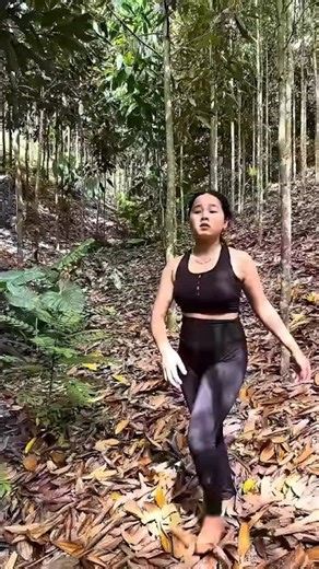 Survival Skills I Beat a Gorilla #shorts #cute #gorilla #camping