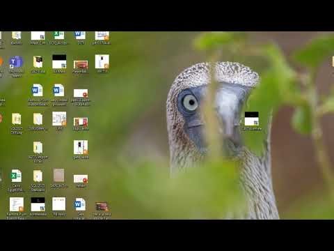 Nedap AEOS AEconf | Fix Configuration After Server Name Change