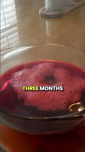 30,000 Pounds - World’s First Jello Pool