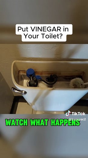 Use Vinegar in Your Toilet for a Simple Cleaning Hack