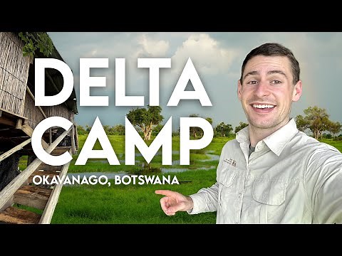 Botswana Safari VLOG - Staying at the Delta Camp (Full-Immersion Okavango)