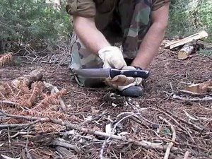 Bark River Bravo 1 Field Demo