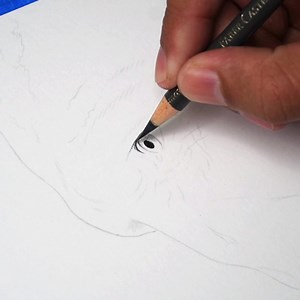 155K views · 8.9K reactions | Speed Drawing - Voldemort | Cleison Magalhães arts | Facebook