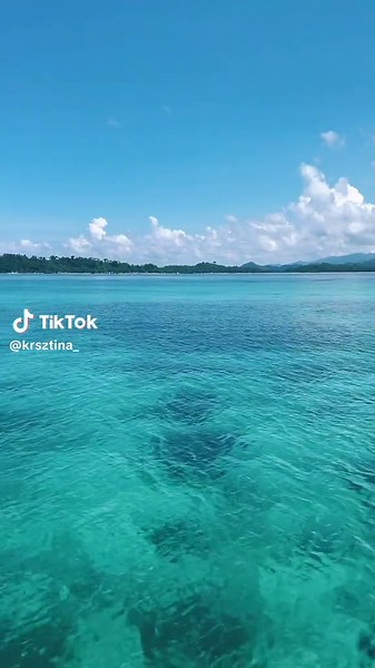 This is the boat tour you must do if you visit Port Barton, you can reach out to @Jackcoolexperience and he will take good care of you. #fyp #foruyou #goviraltiktok♥️ #travel #traveltiktok #philippines #portbarton #puertoprincesapalawanph #