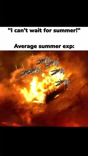 Average summer experience meme #memes #funnymemes