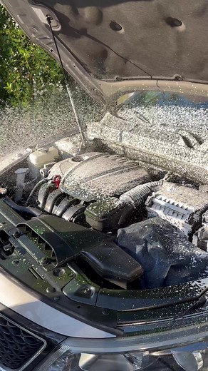 Intense Engine Bay Cleaning with All Clean | Car Detailing Tips