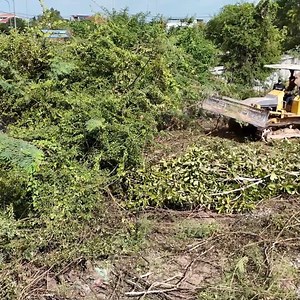 366K views · 915 reactions | First Start New Perfectly PROJECT!! 8T Dump Truck Transporting Soil With Bulldozer Pushing, Landfill | BulldozeR PoweR | Facebook