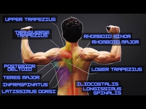 Hit EVERY BACK MUSCLE in ONE COMBO EXERCISE!! (Plus “Fast-Twitch“ Finisher) - Using Any Free Weight!