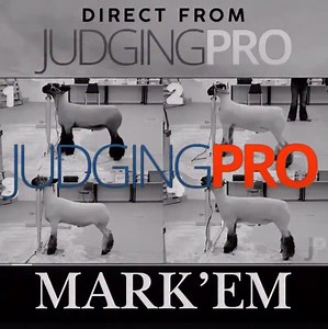 Results are in!!! The officials for the Market Lambs are 1243 with cuts of 2-3-3 You can see the full video of the class with the official critique in the SHEEP classes on judgingpro.com Did you Mark’Em right? Didn’t see the placing or agree with the cuts? We encourage you to log on and see the full video. Stay tuned each week for more great classes and more opportunities to Mark’Em ! | JudgingPro.com