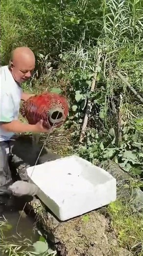 Fish catching process using bamboo cage trap