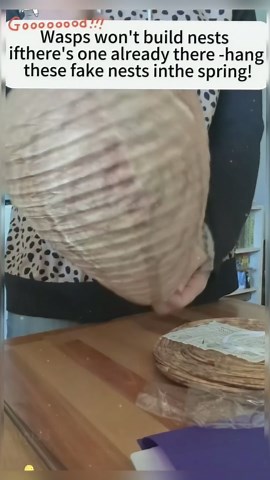 Natural Wasp Repellents - Protect Your Yard from Wasp Infestations with Effective Natural Solutions