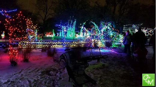 Detroit Zoo Wild Lights 2025 / 2026 | Oakland County Moms
