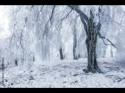 Cold Island - Sped up + No Wubbox (One Hour Loop)