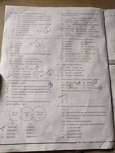 Organisms that have both male, and female sex organs are called... | Filo