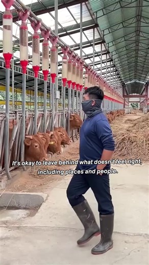 Exploring Modern Dairy Farming with Cows 🐄❤️