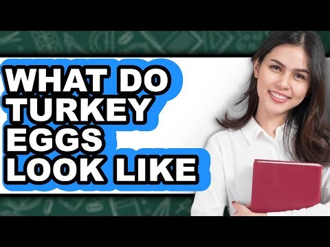 What Do Turkey Eggs Look Like - Explained
