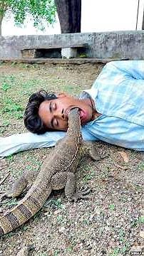 😱 Monitor Lizard Crawls Into His Mouth?! Shocking Moment Caught on Camera! #shorts