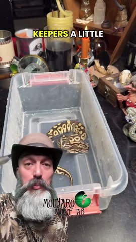 This was one spicy snake! I don’t know what kind of magic the new keeper is using!