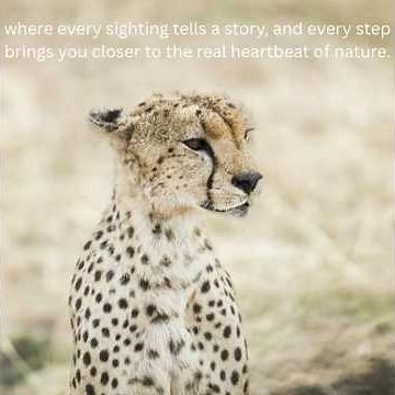 🐆 Is This Cheetah About to Climb a Tree? | Serengeti Safari Moments