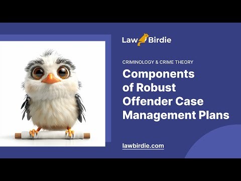 Components of Robust Offender Case Management Plans - Essay Example