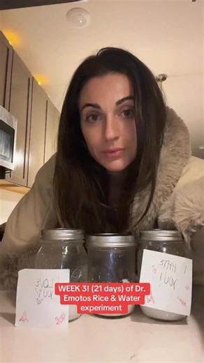 Prof. Alexis Abate on Instagram: "Day 21 of Dr. Emotos Rice & Water experiment. . . . . #riceexperiment #masaruemoto #energyexperiment #frequencyhealing #quantummanifestation #lawofvibration #mindpower #intentionmatters #consciousliving #spiritualawakening #manifestationtips #raiseyourfrequency #mindbodysoul #healingenergy #positiveintentions #spokenwordpower #manifestationjourney #energyalchemy #highvibesonly #spiritualtiktok #holistichealing #metaphysical #vibrationalhealing #selfgrowthjourney