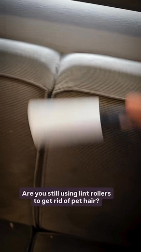 Still finding pet hair on your couch, bed, and clothes? The Bare Brush gets deep fur out in seconds ⏱️ ✔️ Reusable and easy to clean ✔️ Works on couches, dog beds, carpets, and more ✔️ Satisfying and effective, even for stubborn fur Once you try it, there’s no going back. Get yours now and see the difference for yourself. | Bare | Facebook