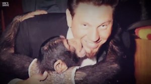 4 Horrific Ape Attacks That Could Have Been Avoided