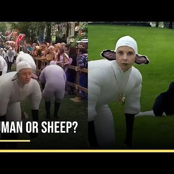 Humans Dressed As Sheep Is One Of The Most Bizarre Thing On The Internet