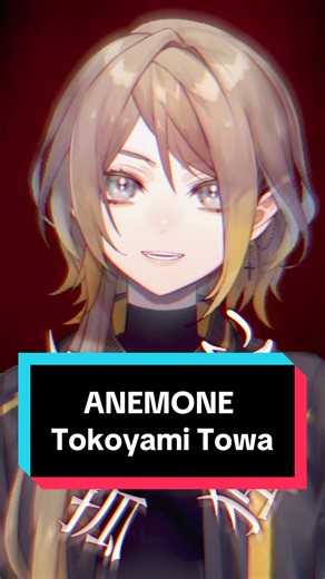 Tokoyami Towa's Song Cover: Thank You for 2025!