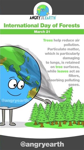 International Day of Forests - March 21