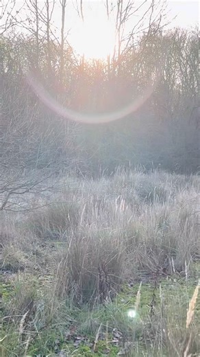 Hardstanding 22 at Podington on my Boxing Day walk.