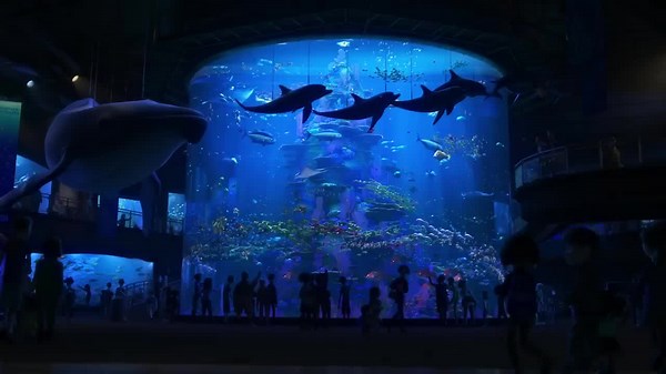 Finding Dory (2016)
