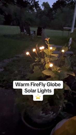 The perfect solar lights! Firefly globes, gives little fairy vibes ✨✨ #solarlights #fairygarden #firefly #fireflylights #globelights #globesolarlight #balllight #backyardlight #gardenlights #traillights #fairygardens