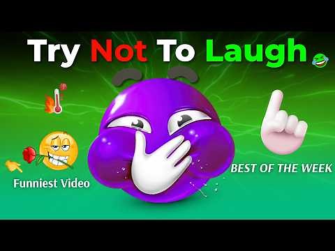 BEST OF THE WEEK 😆 Try Not To Laugh Challenge 😭 (Funniest Video) Part 161!!!