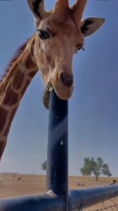 2.3M views · 10K reactions | For all the visual learners out there, take notes! 藍藍 | MarshaB | Facebook