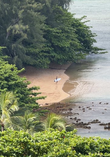 Watch Husband Surf From Hotel Room in Kauai