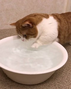 When you're trying to get the hot water to spread around the bath | The Hook